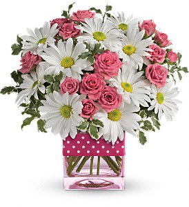Teleflora's Polka Dots and Posies - Polka dots and posies, they're the perfect pair. Well, at least in this pretty arrangement they are. Just the right flowers in just the right vase all wrapped up inâ¦ you guessed it, just the right ribbon. Pink spray roses and white daisy spray chrysanthemums are delivered in an exclusive pink vase that's wrapped with a polka-dot satin ribbon.