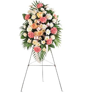  Gentle Thoughts Spray  - The pink and white flowers of this lovely spray will express your deepest sympathy ever so gently to all in attendance.  One spray of pink carnations, white spray chrysanthemums and rose accents with a pink ribbon is delivered on an easel.  Approximately 24&quot; W x 42&quot; H  Orientation: One-Sided