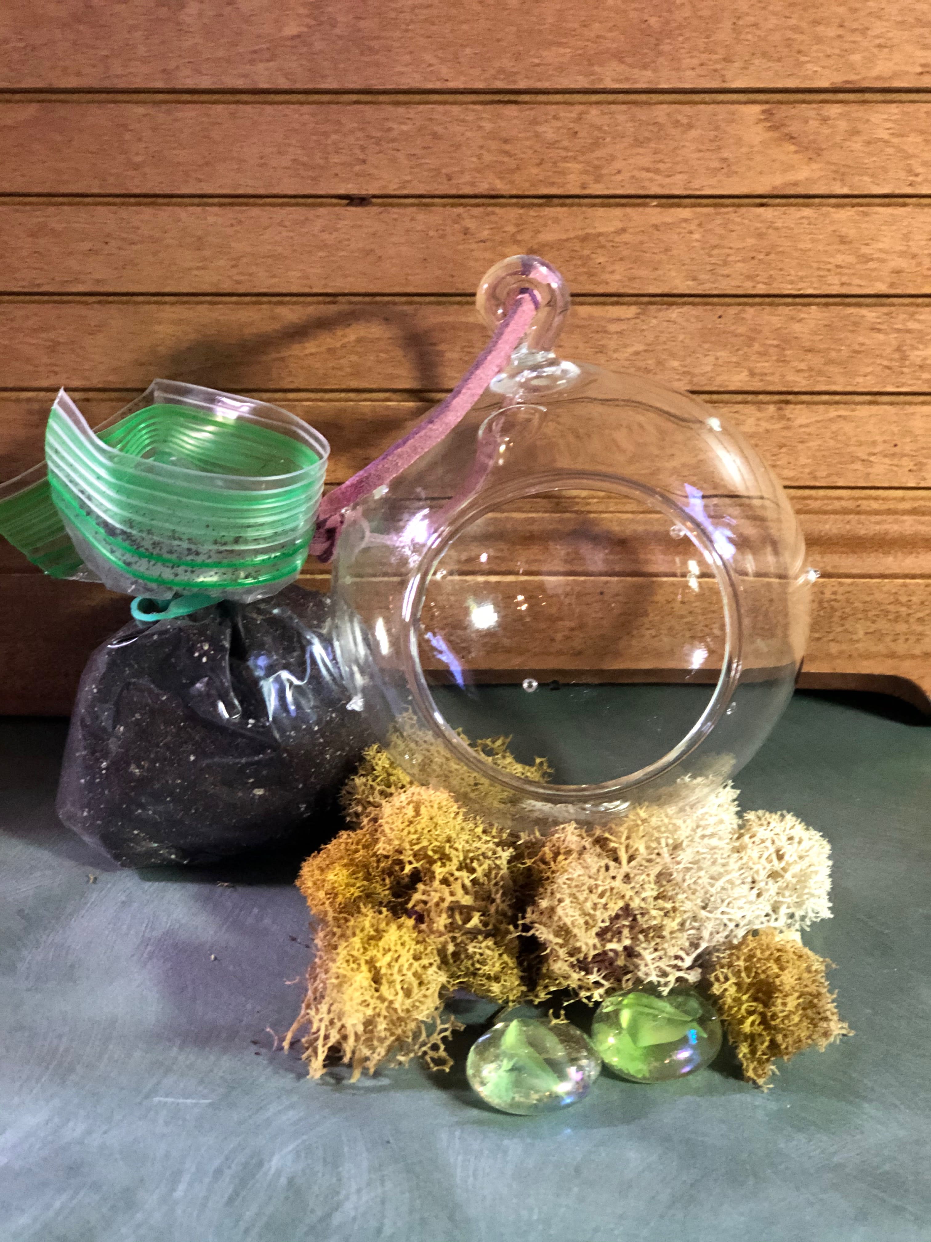 Floating Orb Terrarium Kit  - Create a sweet hanging garden! Kit includes the glass orb, hanging pink tinted suede lace, fertilizer mixed with soil, moss and a few decorative stones. All that's needed is your own purchased succulents or plants. (succulents and/or plants not included.) Orb is approximately 4&quot; tall.