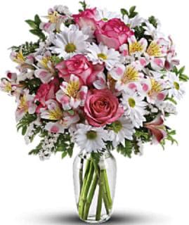 White daisies and pink Roses White daisies and pink Roses - White and pink flowers