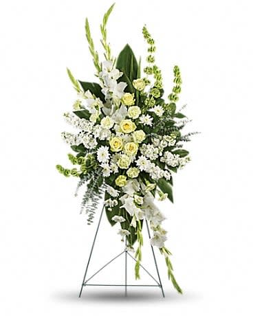 Magnificent Life Spray Magnificent Life Spray - A magnificent symbol of love and peace, this pure white and green spray conveys your sympathy with elegance and grace. This gorgeous array of green roses, green carnations, white gladioli, white stock, white cushion spray chrysanthemums and bells of Ireland is accented with green ti leaves, spiral eucalyptus and lemon leaf.