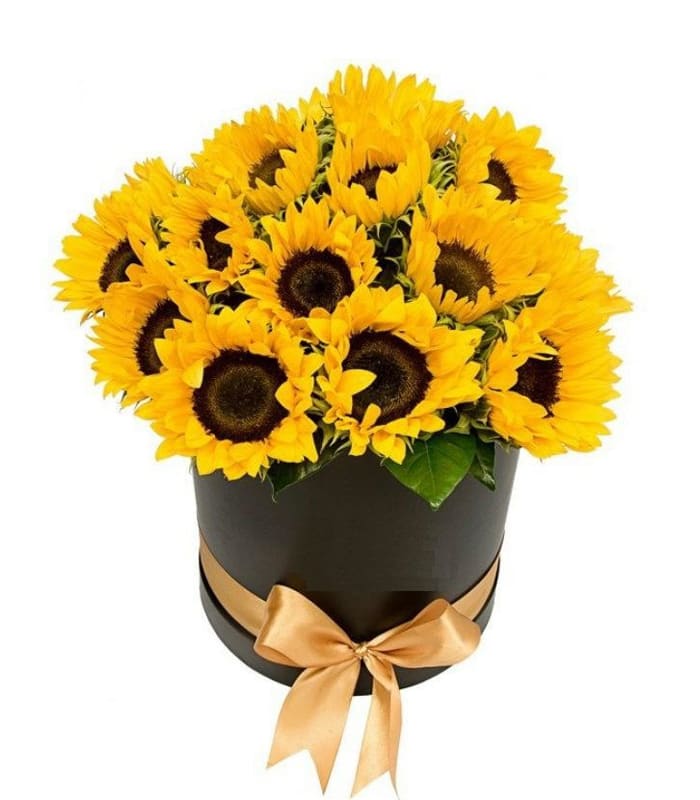 Be My Sunshine - Be my sunshine - 10 stems of sunflowers in a pretty black cardboard container with a yellow bow.