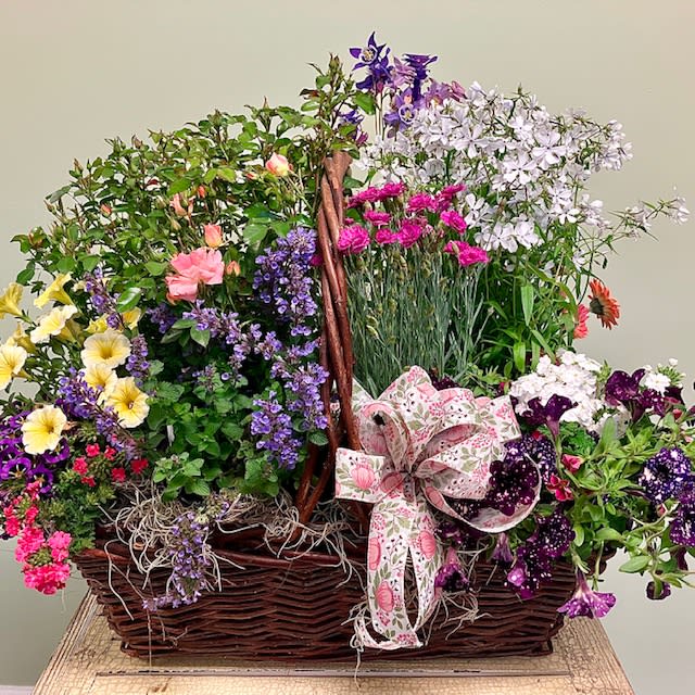 Flowering Perennial Basket GC49 by The Rhoads Garden