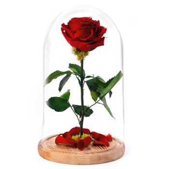 Forever rose  in glass dome - Our enchanted forever rose made to last years a perfect gift thats a little something that goes a long way. Show your forever love with our forever rose!