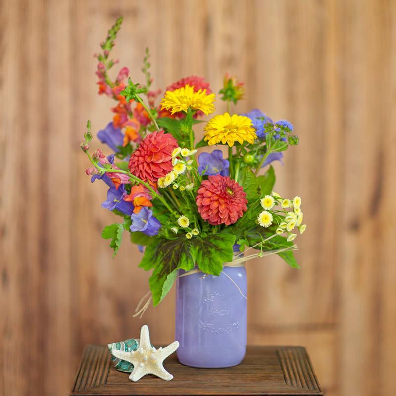 Pint Sized Mason Jar with Spring Blossoms (WE ARE OUT OF THE LAVENDER MASON JARS) - Dahlias, snapdragons and more are gathered in a colored mason jar.  Call shop to see what we have in stock, because we substitute vase and flowers based on what we have in stock. 