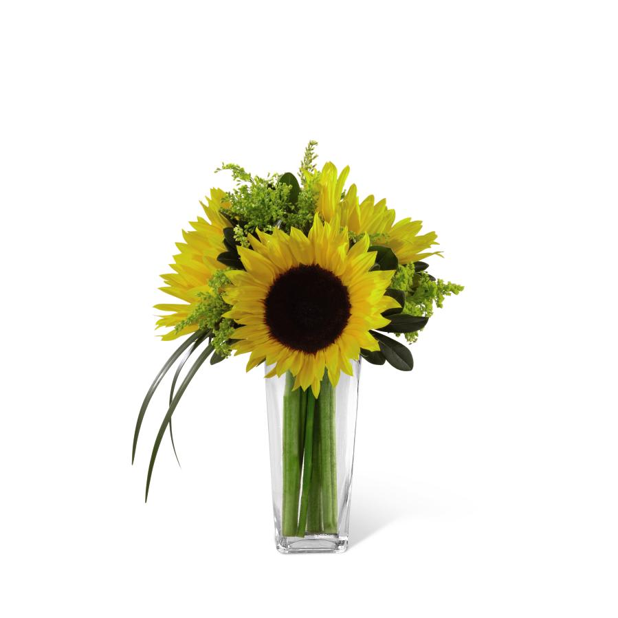 FTD Sunshine Daydream Bouquet FTD Sunshine Daydream Bouquet - The FTD Sunshine Daydream Bouquet highlights stunning sunflowers to capture their every attention with its bright beauty. Gorgeous sunflowers are accented with solidago, lily grass blades and lush greens to create a memorable flower bouquet. Presented in a clear glass tapered square vase, this arrangement sends your warmest wishes and highest hopes for the days ahead. GOOD bouquet includes 3 stems. Approx. 14H x 10W. BETTER bouquet includes 4 stems. Approx. 14H x 11W. BEST bouquet includes 6 stems. Approx. 16H x 13W.