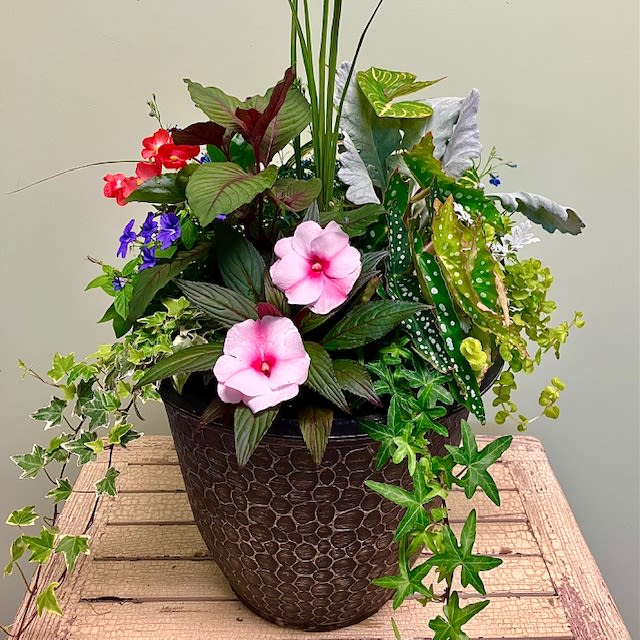 Gardener's Choice Planter GC-S007 - An assortment of sun loving plants specially picked out by our expert gardener's are arranged together in a beautiful container to adorn your favorite patio corner! **PLEASE NOTE- Actual plants may vary so that we may choose the best in stock to fill your order. To inquire about varieties in stock, please call our Garden Center at 215-699-2207