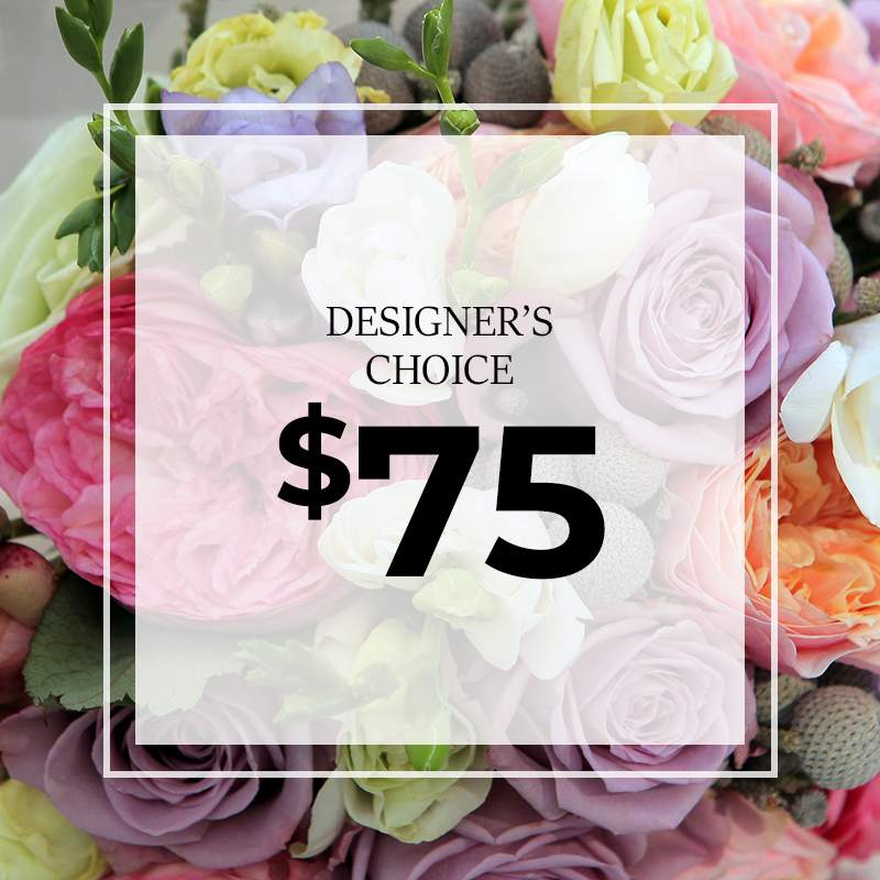 Designer's Choice $75 Designer's Choice $75 - Designer's Choice $75