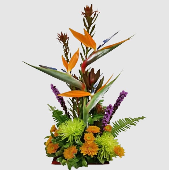 Towering Birds - ALL6798 - Birds of paradise tower over this arrangement of mums and liatris.  Substitutions of equal or greater value may be made depending on season and availability of product or container.  Shown in deluxe  Towering Birds - ALL6798