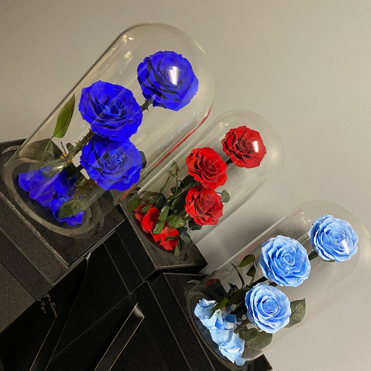 3 Stem Preserved Roses In Tall Glass Dome - These roses have been preserved to last forever. Great gift for your loved ones on any occasion. They are in a glass dome and also have their own luxury gift box with foam material inside so that it arrives in one piece! We have yellow, purple, white, red and sky blue in stock right now. ROYAL BLUE AND PINK OUT OF STOCK.