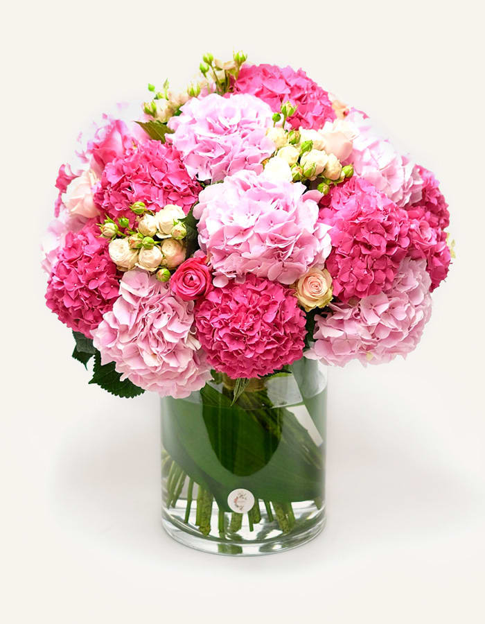 Rosetta Bouquet - Delicate pink shades, ranging from Pale pink to Barbie pink, this pink symphony is arranged with the best seasonal hydrangeas. Coupled with Cerise Bouvardia and Fragrant Rose to bring tones of beauty and elegance.