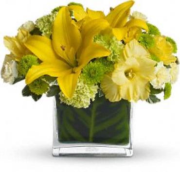 Oh Happy Day -  Make any day happier with this modern summer flower arrangement! A stylish summer birthday gift or posh pick-me-up for any day of the week, this cheerful yellow bouquet is delivered in a rectangular glass vase lined with deep green calathea leaves for a tropical touch.    Item # T27-1A 