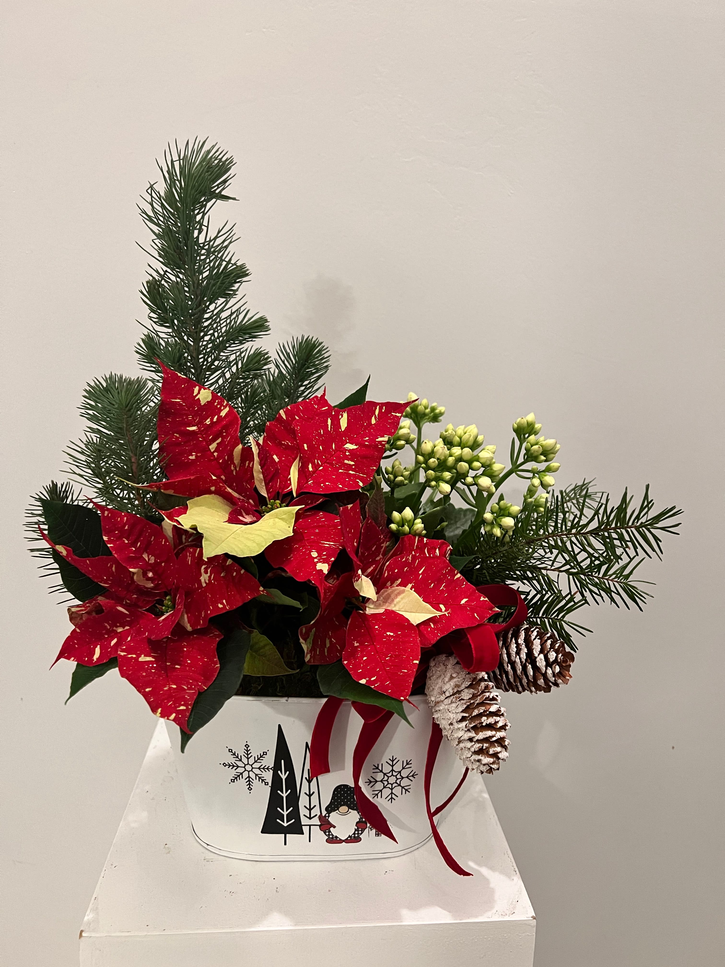 Merry little basket - Garden basket with an assorted Christmas plants