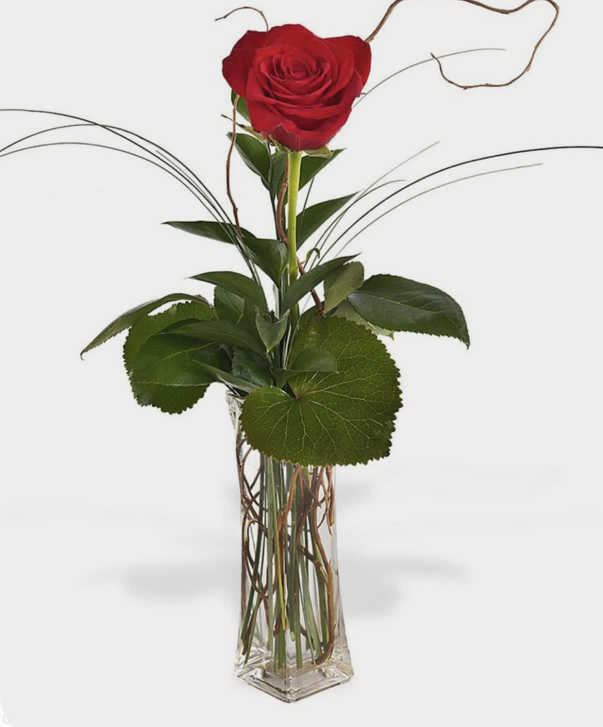 One rose One rose - One rose with greenery in a clear vase