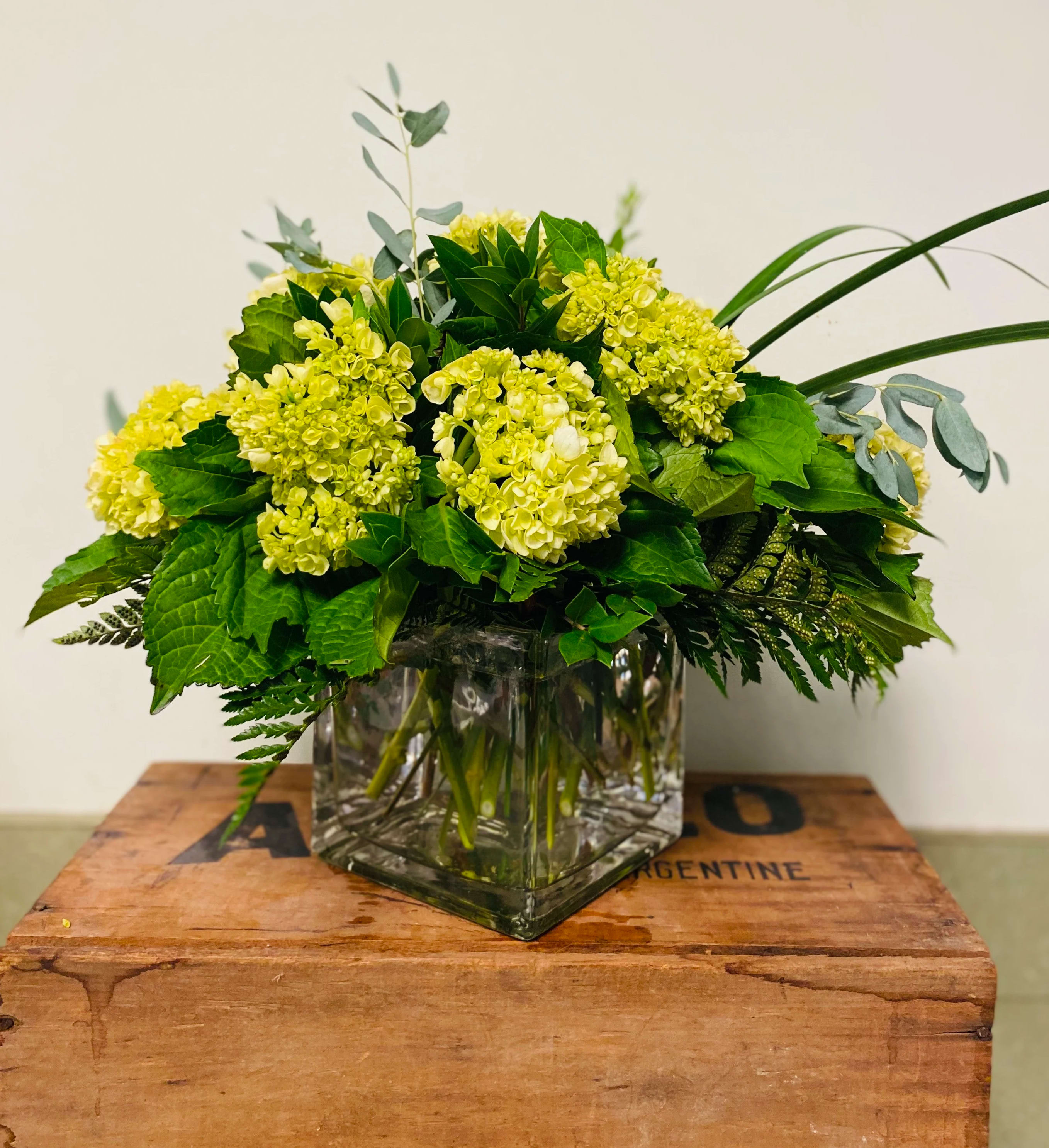 Nothing Short of Perfect Bouquet - Our best Colombian Mini Green Hydrangea are expertly arranged in a clear glass cube with lush, tropical foliage to make this arrangement nothing short of PERFECT!