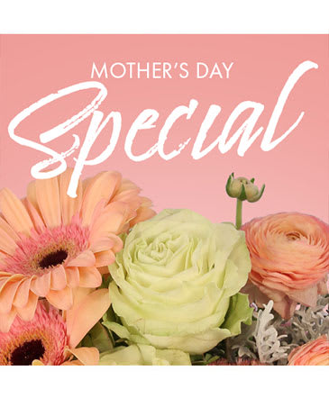 Mother's Day Special - Celebrating a woman who has it all? We’ve made it easy on you with our Mother’s Day Special flower arrangement! Allow us to design a gift that will have her feeling excited about her fresh, new home decor. She’ll feel more appreciated than ever when you give her a beautiful bouquet and a little bit of love! 