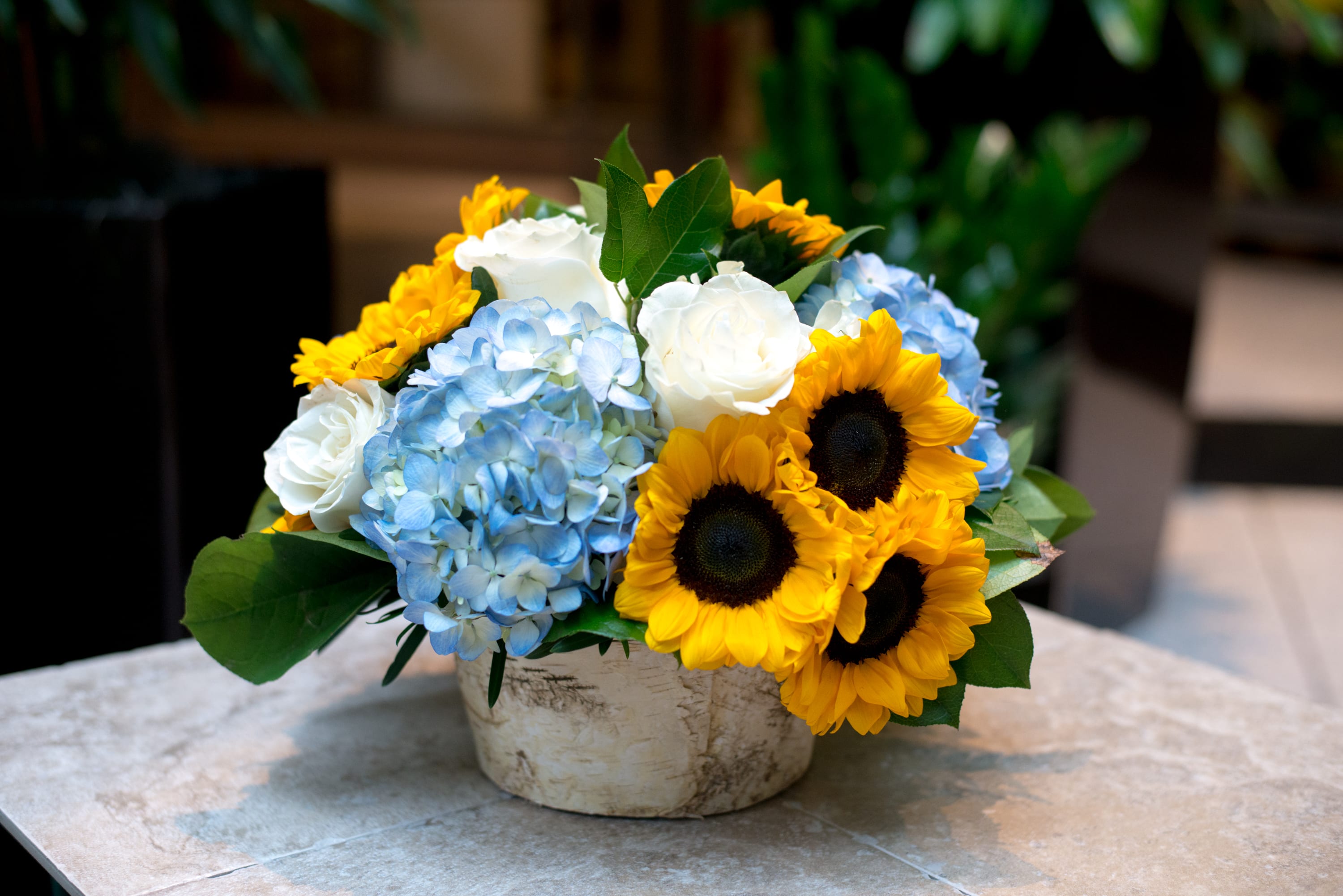 Spring Awakening - A breath of sunshine in a natural white birch covered vessel.  Bright and cheery with a pure and classic look, filled with fresh cut sunflowers, hydrangea and creamy white roses.  Perfect for any occasion.