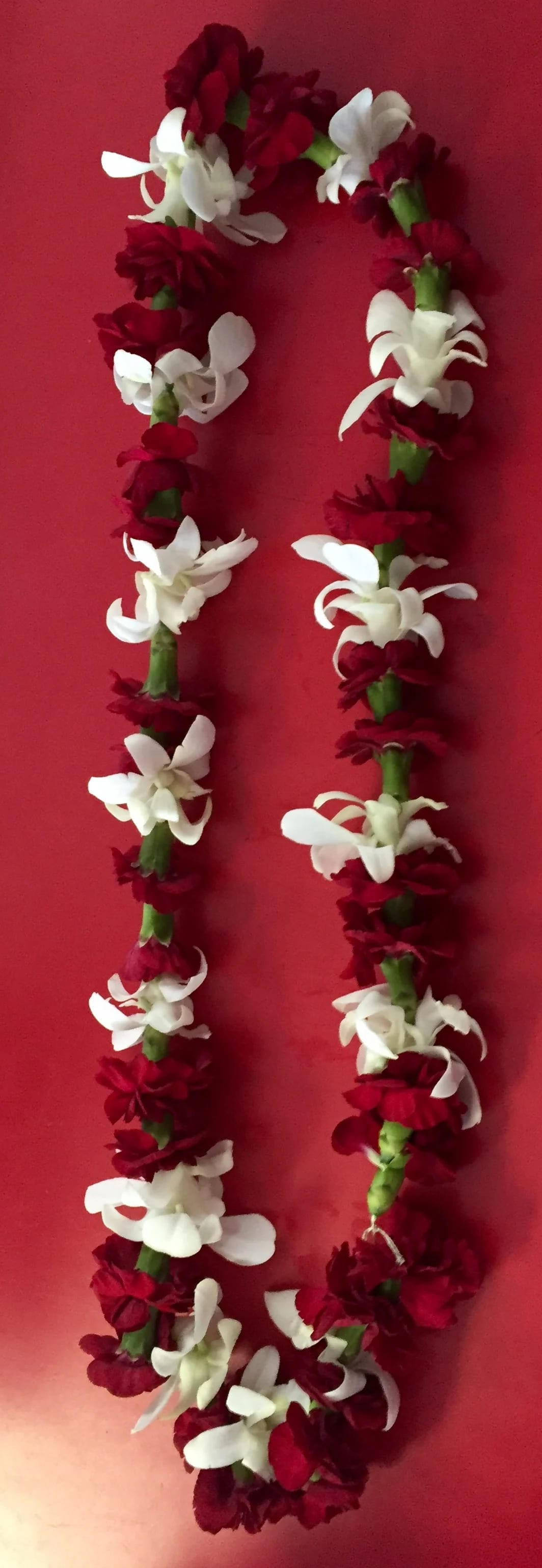 Burgundy &amp; White Leis - This gorgeous orchid lei, consisting of exotic white dendrobium orchid blooms, and burgundy mini carnations is a symbol of love, friendship, celebration, honor, and happy greetings crafted in the tradition of the Hawaiian Islands, picked fresh for you to offer fun and festive beauty to your special occasion. Please order at least two days in advance, or call for availability. 