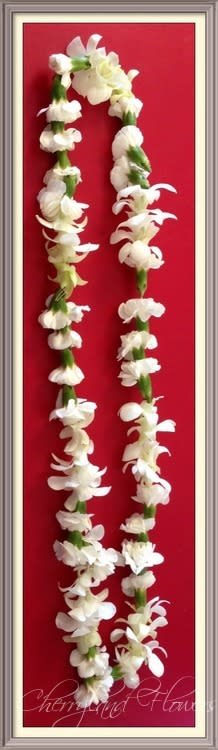 CF2043 - White Mini Carnation &amp; Dendrobium Orchid Leis  This elegant leis features alternating white mini carnations and dendrobium orchids.  