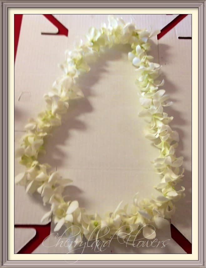CF431 - This gorgeous lei, consisting of exotic white dendrobium orchid blooms, is a common symbol of love, friendship, celebration, honor, and happy greetings crafted in the tradition of the Hawaiian Islands, picked fresh for you to offer fun and festive beauty to your special occasion.