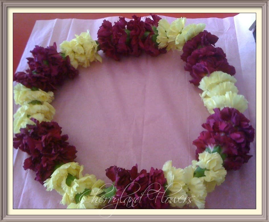 CF248 - This gorgeous lei, consisting of fresh carnations, is a common symbol of love, friendship, celebration, honor, and happy greetings, created to offer fun and festive beauty to your special occasion.