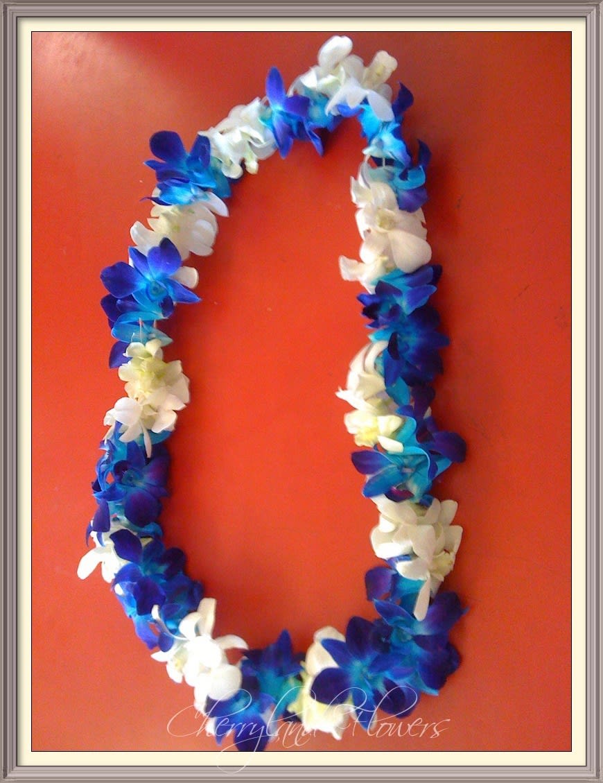 CF2044 - White &amp; Dark Blue Dedrobium Orchid Leis This elegant leis features alternating white and dark blue dendrobium orchids. 