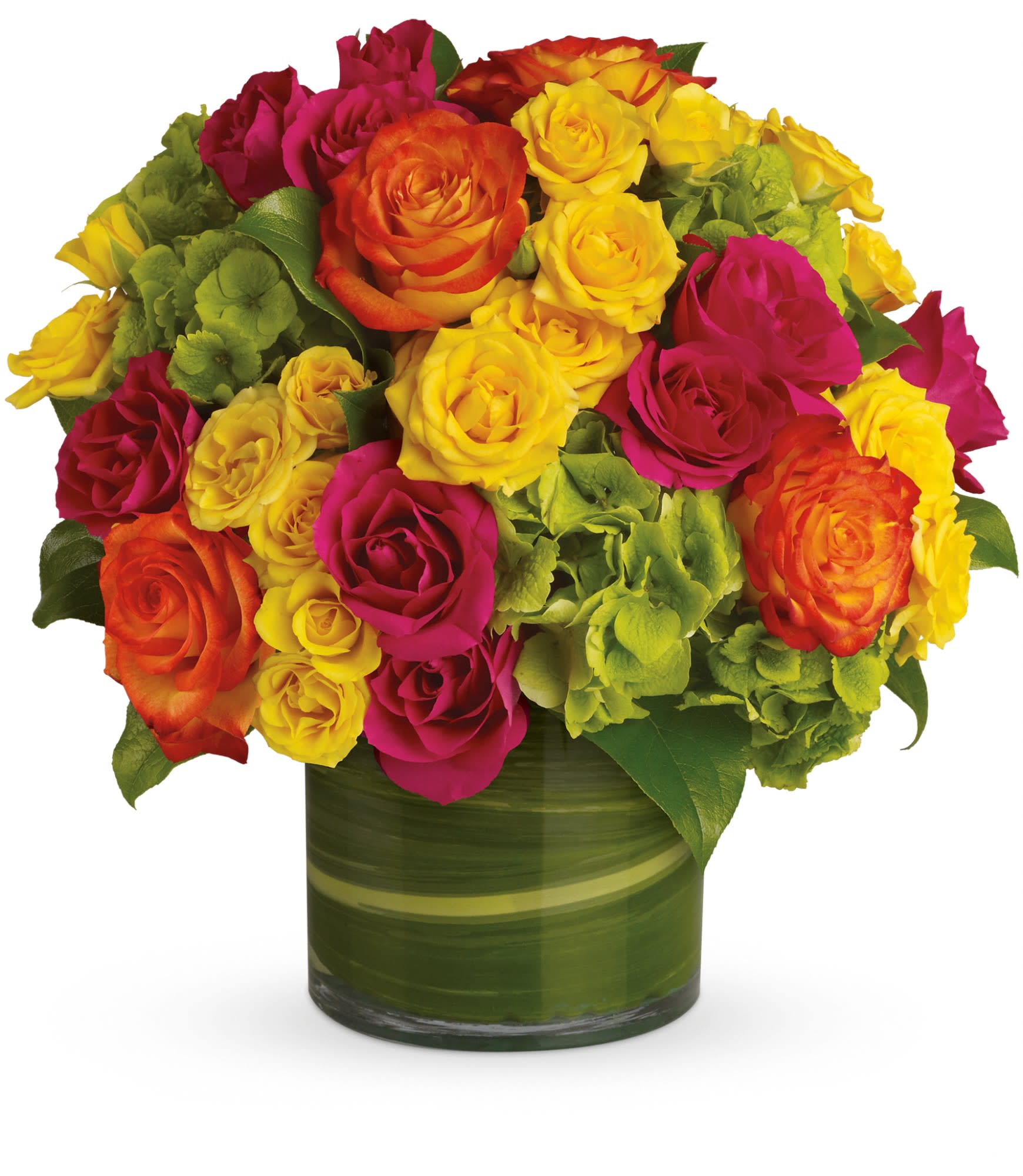 Blossoms in Vogue - High-fashion flowers for the style-minded! This modern presentation of multicolored roses and green hydrangea has a tropical feel thanks to the hot color palette and the aspidistra leaves in the vase. Bright green hydrangea and rich green salal leaves mix with hot pink, yellow, and orange bi-color roses in a clear glass cylinder that's lined with variegated aspidistra leaves.