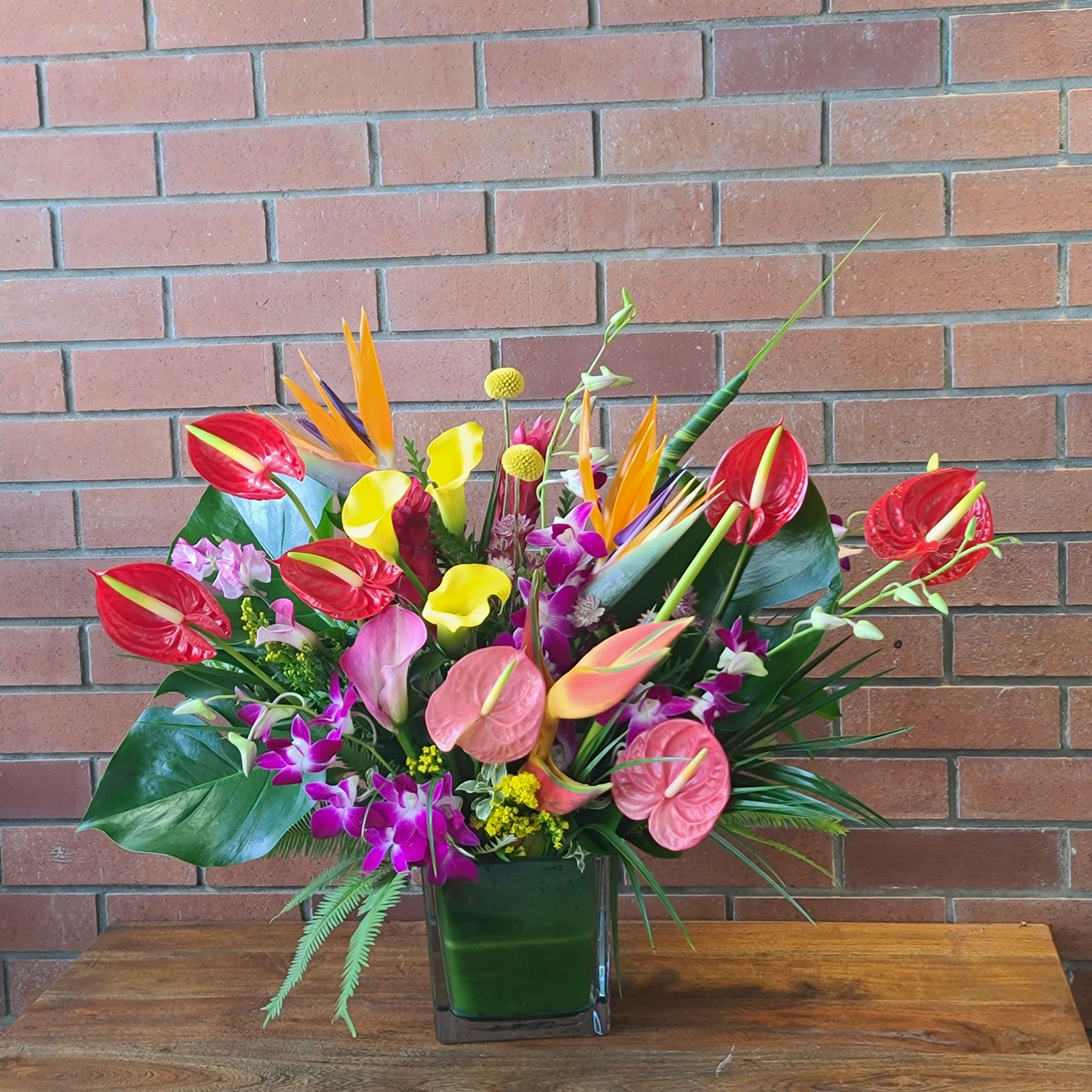 Large Tropical Arrangement  - Fresh beautiful tropical arrangement with exotic anthurium, orchids, birds of paradise, heliconia, monstera, umbrealla ferns, craspedia, ginger and more! We will use our freshest exotic flowers to create a stunning tropical arrangement in a modern heavy glass cube vase 