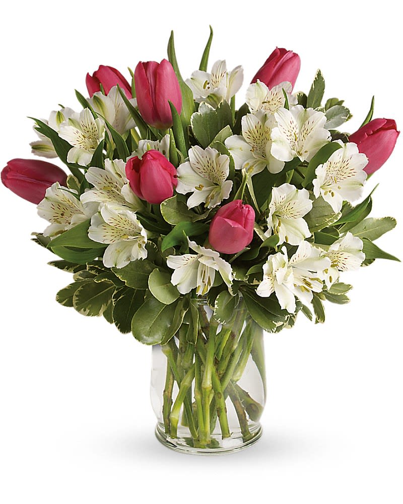 Spring Romance Bouquet - Romance buds in the spring - and it blooms beautifully in this charming bouquet of tulips and alstroemeria. Presented in an elegant hurricane vase, it's a heartfelt gesture she'll remember through all seasons. Includes pink tulips, white alstroemeria and variegated pittosporum. Delivered in a glass hurricane vase.Approximately 13 1/2&quot; W x 14 1/2&quot; H