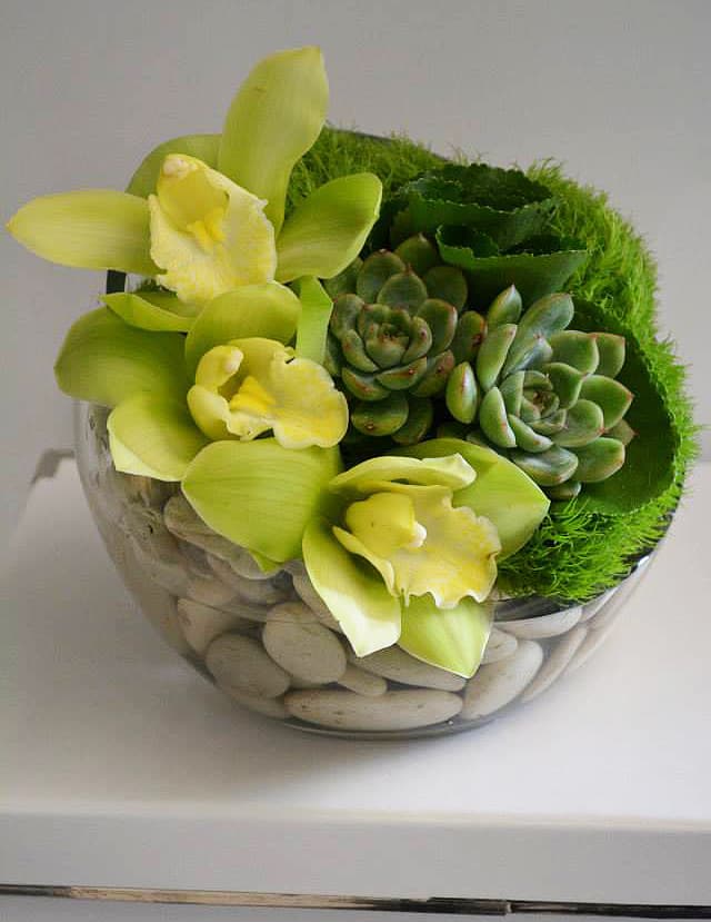 Spotified Spotified - A combination of Green Succulents, Green Cymbidium Orchids in a Half Bubble Vase with White Zen Rocks