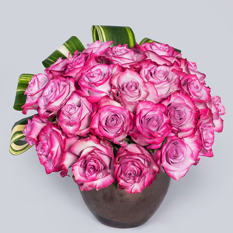 Rose Gala by LA Premier