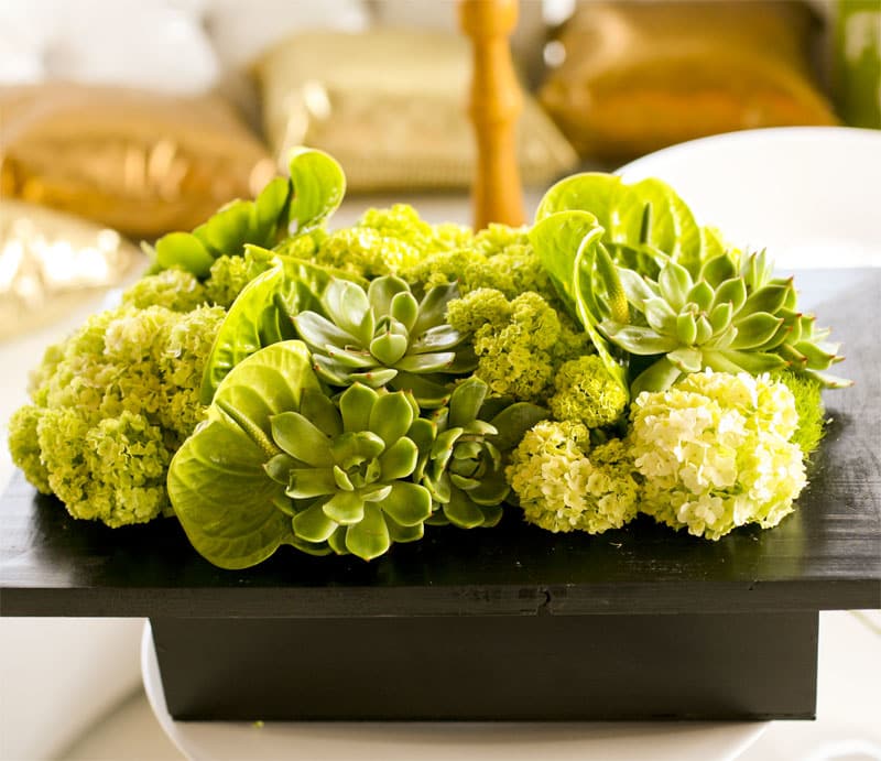 Mossy Wood - This beautiful display of succulents, green antheriums, viburnum/green hydrangea in wood box is a very modern arrangement that will leave a lasting impression anywhere and with anyone.