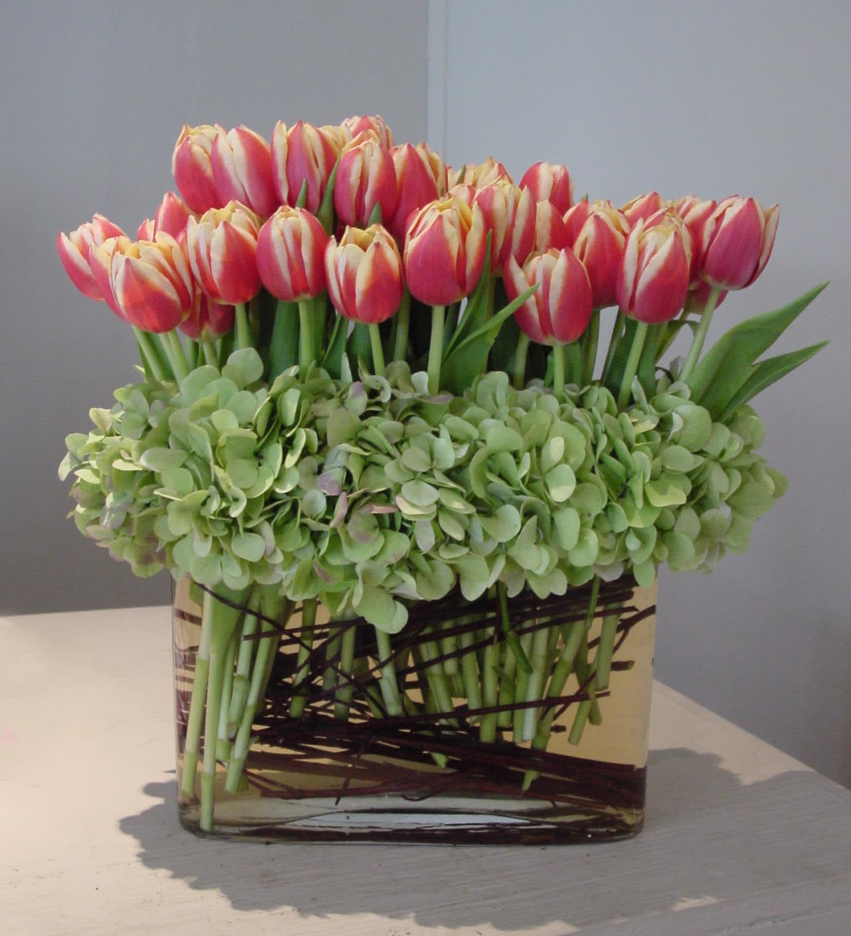 Flowers tulips sale