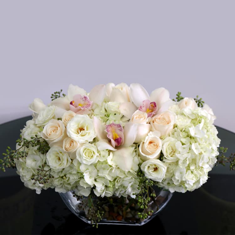 White Low Pave - White Low Pave