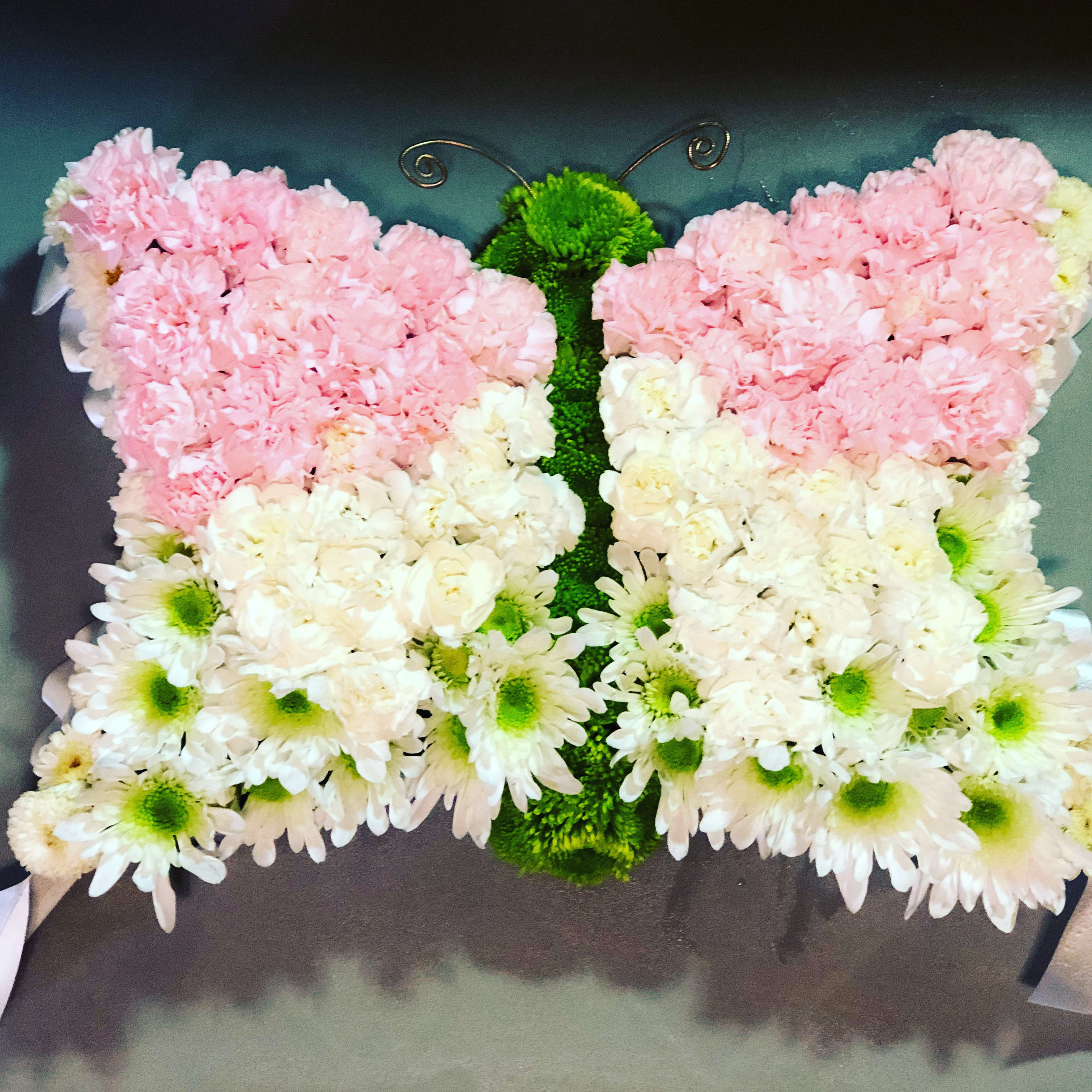 Butterfly Kisses - Butterfly Kisses is a tribute to the butterfly. Created out of fresh flowers of mini carnations, button poms and mini spray chrysanthemums. Wire accents create the antenna. Lays flat or for an up-charge can be attached to an easel. Please allow extra time on this design.  Approximate size&quot; 9&quot; X 14&quot;