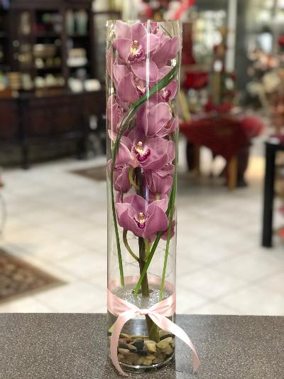 Simply Cymbidium - What could be more elegant than a single stem of stunning Cymbidium Orchids? Orchid color may vary based on availability.