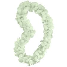 Double White Lei - Timeless, all white double orchid lei.  Great with any school colors.  *Please allow 3-5 days to order these special orchids. This color may not be available with short notice. 