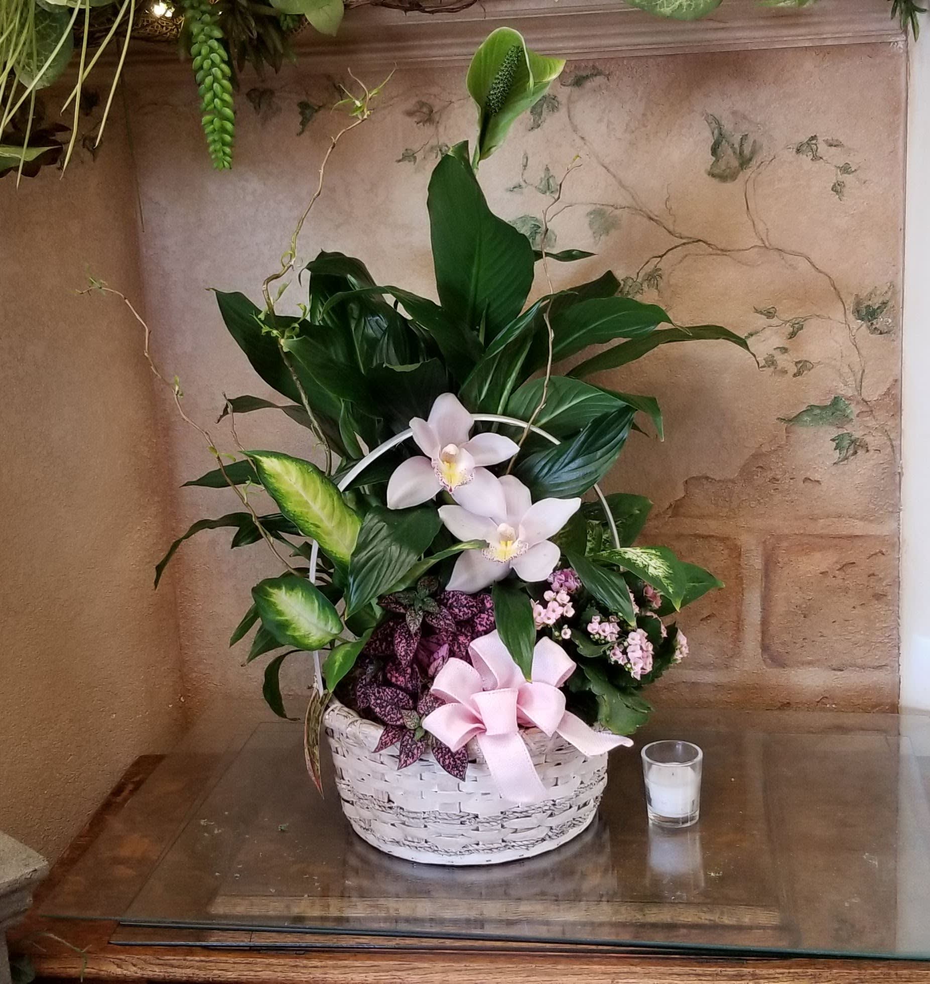 Basket Garden With Fresh Cut Orchids - An assortment of green plants with an addition of fresh cut orchids.