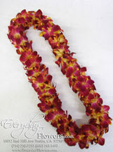 Yellow and burgundy Lei ( Double Layer ) - PLEASE CALL FOR AVAILABILITY PICK UP OR DELIVERY.  Make your upcoming graduation a memorable one with our special hand crafted orchid leis. The leis are meticulously constructed of double layers of dendrobium hybrid orchids and are guaranteed fresh for your graduation day.  PLEASE CALL FOR AVAILABILITY.