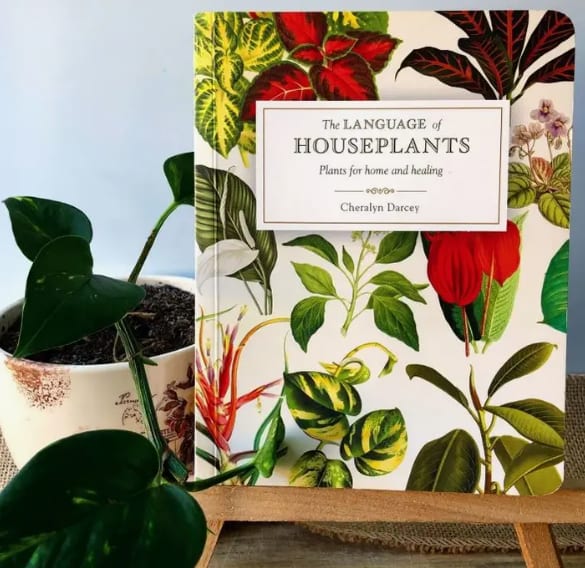 The Language of Houseplants by Flowers In Flight
