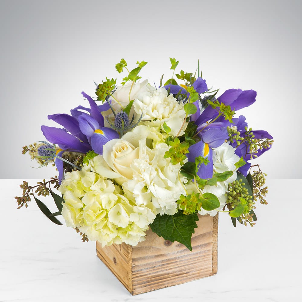 Breath of Fresh Air. - This arrangement contains roses, carnations, blue iris, and other seasonal blooms. APPROXIMATE DIMENSIONS: 8&quot; L x 8&quot; W x 8&quot; H
