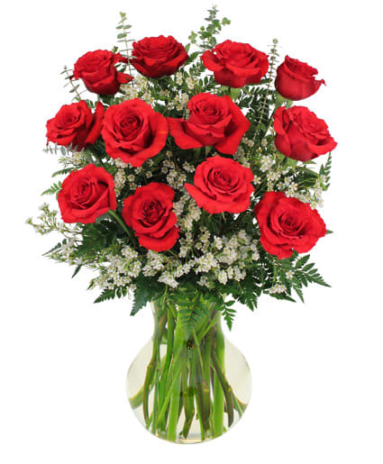 Red Roses and Wispy Whites - Show your love, passion, and gratitude with a dozen red roses. Accented with white waxflower, an arrangement this full of love is sure to please! Call our shop to order or order flowers now from our website!Standard: 12 Roses. Deluxe:18 Roses. Premium: 24 Roses. 