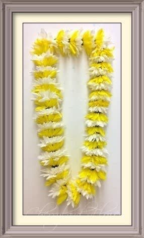 CF2045 - White &amp; Yellow Daisy Leis This cheerful leis features alternating white and yellow daisies. 