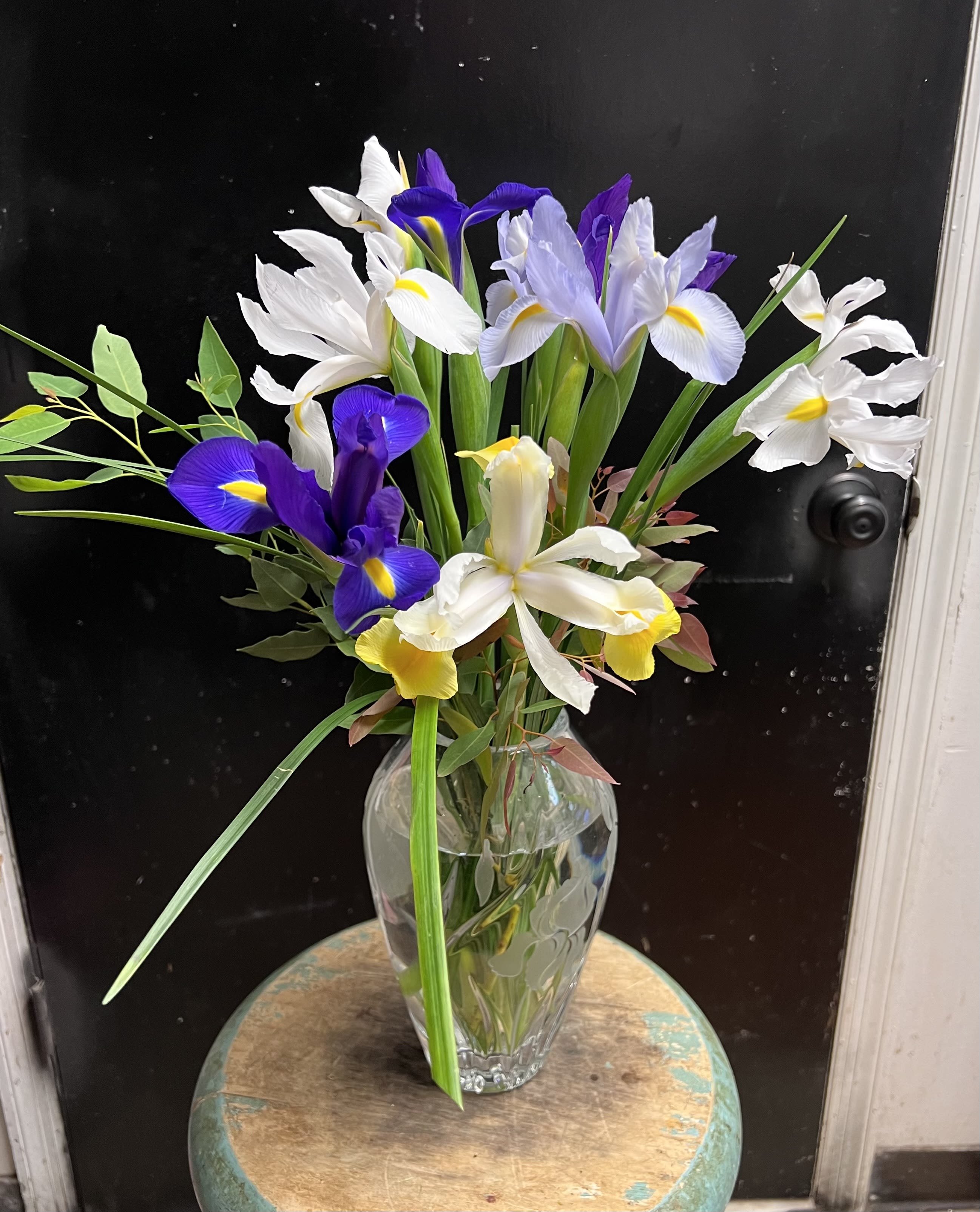 Just Iris by The Flower Shop