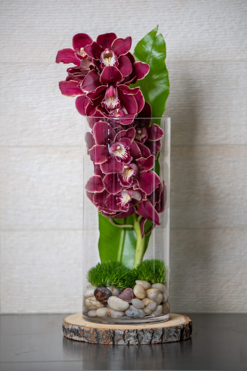 Solo Orchid Solo Orchid - A single large orchid spray in the color of your choice set in a cylindrical terrarium.