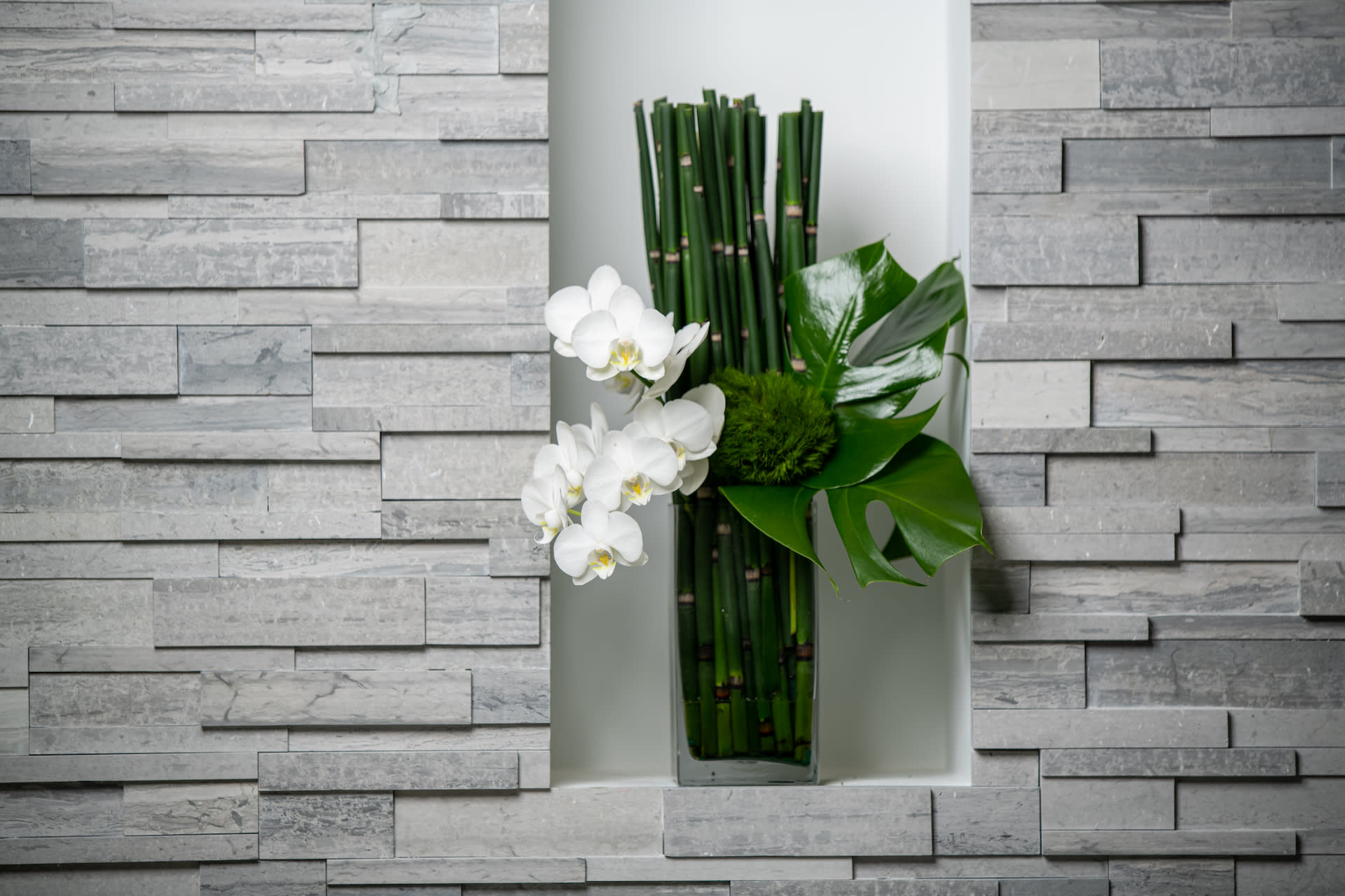 Serendipity - Graceful orchids cascade from a mass of horsetail bamboo