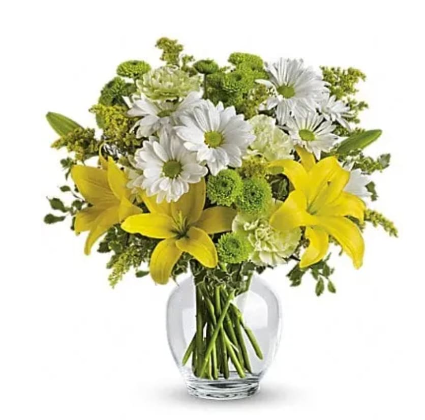 Teleflora's Brightly Blooming - Let the sunshine in with this bevy of bright blooms - yellow lilies, green carnations and other sunny favorites beautifully arranged in a classic ginger jar. Perfect for birthday, get well, thank you - or just to say &quot;Hi!&quot; They'll love it. This impressive bouquet includes yellow asiatic lilies, green carnations, white daisy spray chrysanthemums and green button spray chrysanthemums accented with assorted greenery. Delivered in a glass ginger jar.