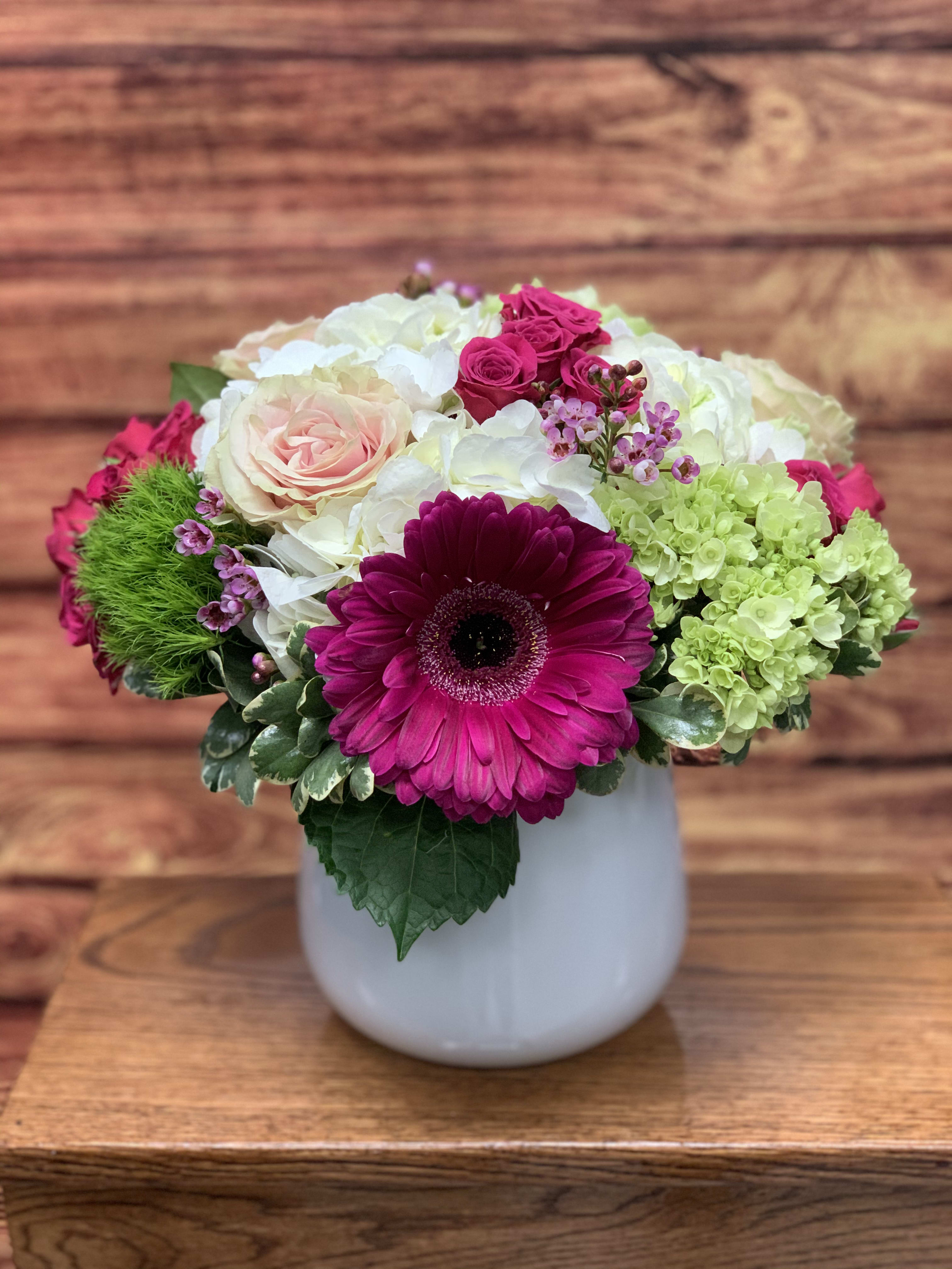 Daisy Pop - A bright arrangement for anyone who loves color in your life! complimentary colors create lovely contrast and make the flowers pop!
