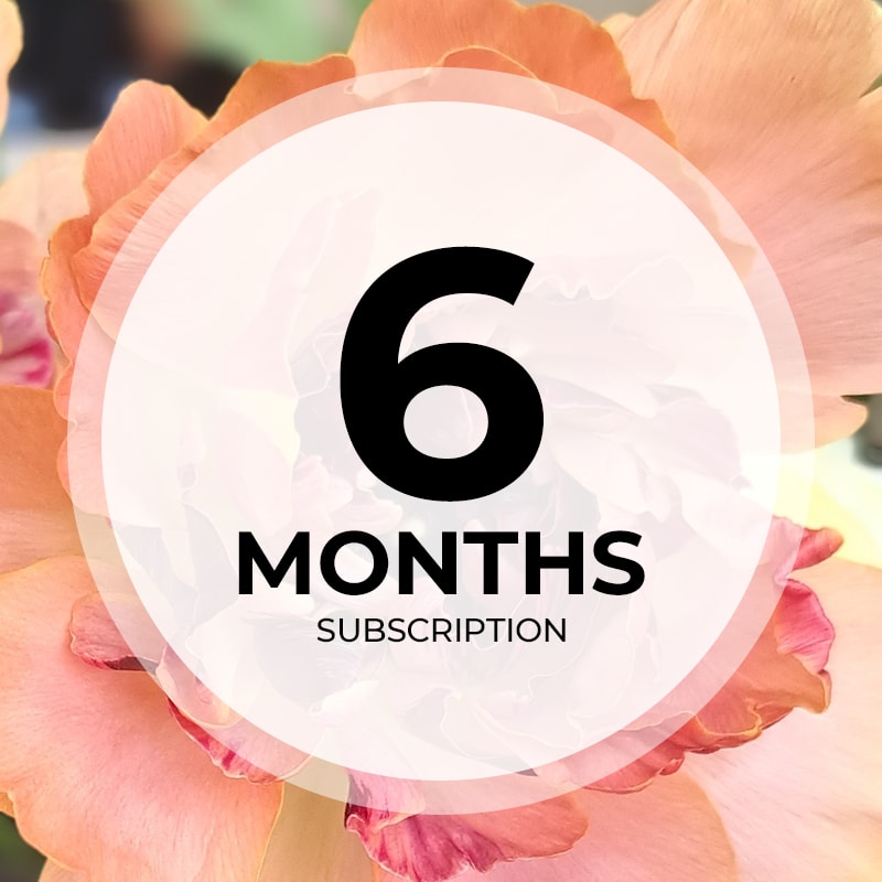 Monthly Flower Subscription - 6 Months - FREE DELIVERY if paid in full, otherwise the card will be charged for each installation. You will get custom seasonal arrangements delivered to your door on the dates you specify. You can always call ahead if a change has to be made for a particular date (for example if you will be out of town, etc). Upgrade to Deluxe or Premium at any time for a more fabulous experience.