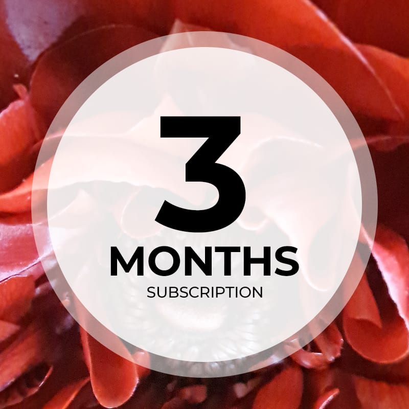 Weekly Flower Subscription - 3 Months Weekly Flower Subscription - 3 Months - FREE DELIVERY if paid in full, otherwise the card will be charged for each installation. You will get custom seasonal arrangements delivered to your door on the dates you specify. You can always call ahead if a change has to be made for a particular date (for example if you will be out of town, etc). Upgrade to Deluxe or Premium at any time for a more fabulous experience.